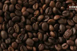 罗布斯塔咖啡豆的优点特点减肥吗 罗布斯塔咖啡豆分级制度 咖啡罗豆价格