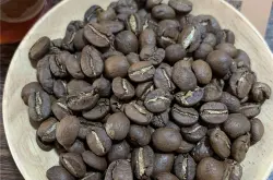 云南咖啡豆 铁皮卡和卡蒂姆的区别 卡蒂姆咖啡豆风味为何被诟病