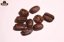 印尼的曼特宁咖啡名字由来？曼特宁为什么叫曼特宁是咖啡品种吗？