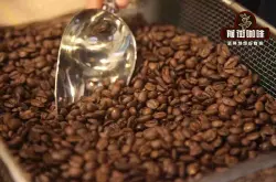 咖啡入门知识咖啡豆三大种类 铁皮卡波旁瑰夏卡杜拉卡杜艾咖啡豆品种风味区别