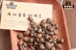 阿拉比卡种的咖啡豆原产地介绍阿拉比卡咖啡庄园产区介绍