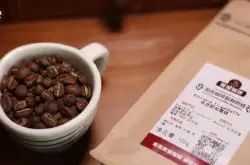 耶加雪菲咖啡豆与阿拉比卡咖啡豆的关系 耶加雪菲咖啡介绍