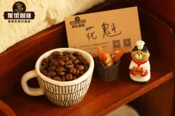 西达摩是什么咖啡？西达摩花魁是黑咖啡吗 花魁咖啡豆产区品种介绍