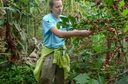 厄瓜多尔咖啡产区富饶庄园历史介绍 厄瓜多尔咖啡豆口感风味特点
