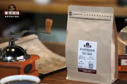 肯尼亚咖啡豆的手冲方法萃取步骤和风味特点 肯尼亚咖啡品种分级介绍