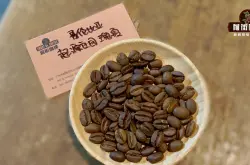 哥伦比亚瑰夏咖啡豆庄园产地区风味描述口感品种特点介绍