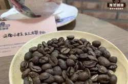 云南小粒咖啡属于阿拉比卡吗 云南咖啡种类及产区风味口感特点
