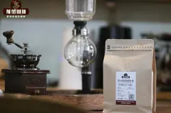 巴布亚新几内亚咖啡简单介绍，天堂鸟咖啡豆有什么风味特色？
