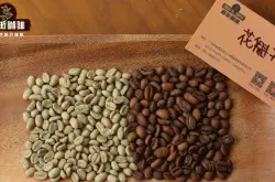 埃塞23年产季正宗花魁咖啡豆7.0风味口感特点介绍 西达摩花魁咖啡怎么冲好喝