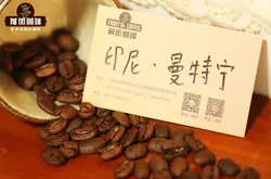 印尼曼特宁咖啡有什么特别 曼特宁咖啡豆和美式咖啡区别特点