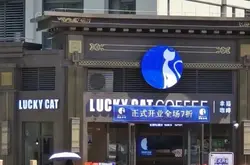 多个城市出现山寨瑞幸咖啡？！加盟幸猫咖啡靠谱吗？