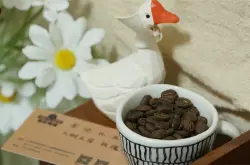 咖啡中的女神瑰夏咖啡怎么样 哥伦比亚瑰夏咖啡豆品种风味特点