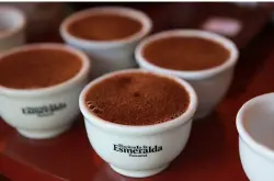 为什么只要提到巴拿马咖啡，就会想到瑰夏？