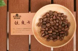 咖啡知识科普，阿拉比卡·铁皮卡的发展路程