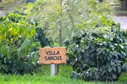 美洲罕见咖啡品种介绍：维拉萨奇Villa Sarchi、Venecia、Tekisic、Bernardina