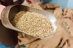 近1/3咖啡为陈豆，ICE阿拉比卡生豆认证库存创24年新低