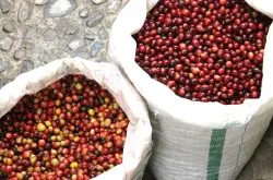全球咖啡价格上涨，咖农不愿出售咖啡