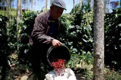 AEKI预计明年印尼咖啡产量将好转，但仍需从越南进口咖啡