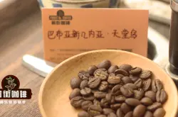 天堂鸟咖啡豆｜巴布亚新几内亚咖啡豆天堂鸟咖啡豆故事和风味口感特色