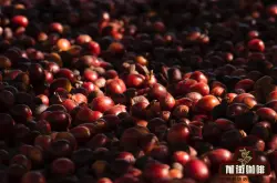 亚洲咖啡豆 云南咖啡种植历史品种 咖啡风味特征介绍 
