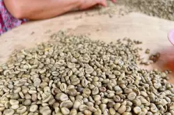 PWN黄金曼特宁与普通曼特宁的区别 G1水洗精品咖啡豆如何分级？