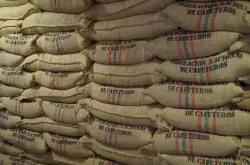 哥伦比亚FNC推出咖啡豆直接贸易出口平台Cafix