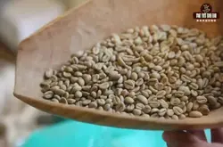 咖啡生豆的新、老、旧、陈豆有什么区别？新产季的咖啡豆是什么意思？