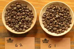 G1和G2等级的埃塞俄比亚单品咖啡豆，区别会很大吗？