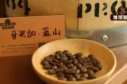 牙买加蓝山精品咖啡豆的风味 牙买加蓝山精品咖啡豆的历史渊源