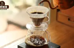 金杯萃取的标准是什么？咖啡的萃取率和浓度应该如何计算？