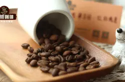 巴拿马翡翠庄园艺伎咖啡风味描述处理法品质特点口感介绍