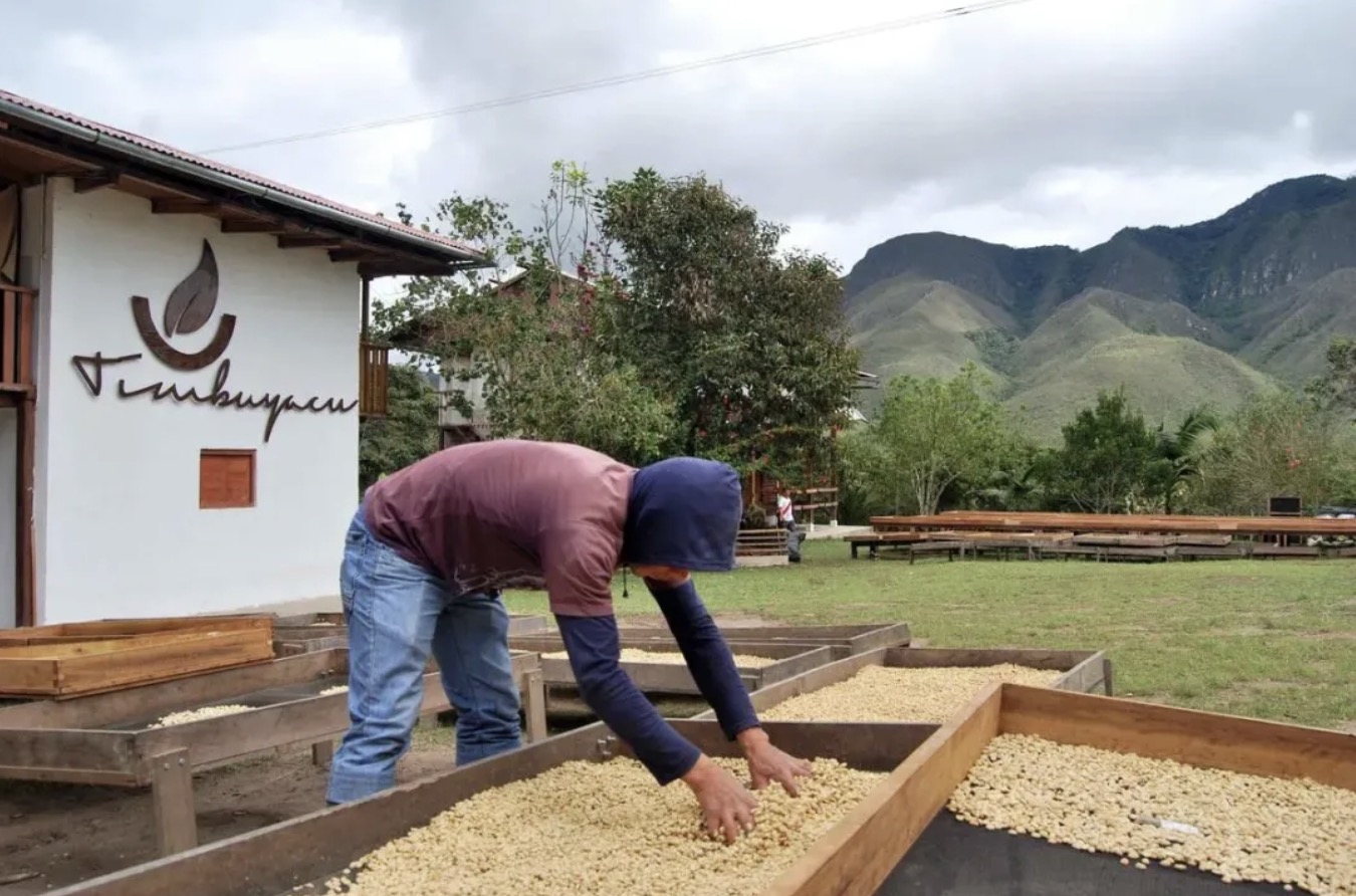 中国与秘鲁加强贸易合作！但咖啡产业将受气候影响