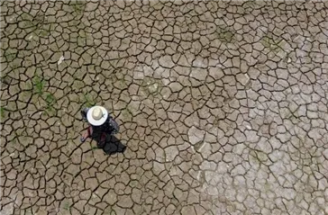 巴西发布报告：超1000个城市严重干旱！