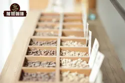 新手手冲咖啡豆种类购买推荐 手冲咖啡豆可以用美式滴滤咖啡机吗