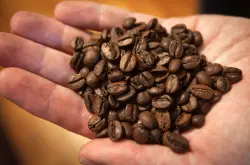 运输困难至中断令咖啡价格上升 世界咖啡期货价格因巴西咖啡产区降雨而下降