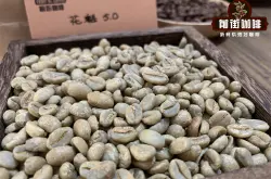 埃塞俄比亚单品咖啡产区西达摩(SIDAMO）与西达玛（SIDAMA）