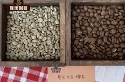 哥伦比亚精品咖啡豆的特殊处理法和小规模农场咖啡品质