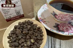 危地马拉安提瓜产区拉米妮塔庄园卡杜拉品种水洗咖啡豆介绍