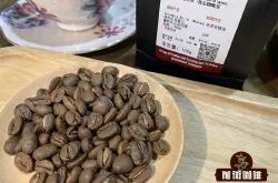  中美洲和印尼咖啡豆的收成期和南美洲哥伦比亚咖啡一样吗