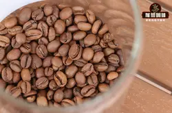 耶加雪菲咖啡豆适合什么人 耶加雪菲的正确喝法 日晒和水洗耶加雪菲风味特点