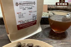 云南咖啡豆的主要特点 云南保山卡蒂姆(Catimor)水洗咖啡豆介绍