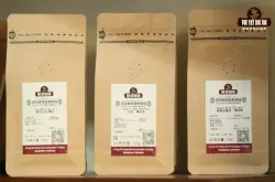 哥伦比亚咖啡豆等级划分 哥伦比亚咖啡豆风味口感特点描述