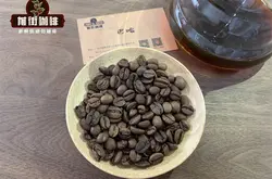 如何挑选咖啡豆 新手咖啡豆不同国家咖啡风味特点介绍推荐