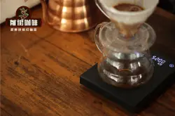  咖啡闷蒸是什么 挂耳咖啡也需要像手冲咖啡一样闷蒸吗
