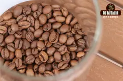花魁咖啡豆6.0什么风味口感特点？埃塞最新花魁咖啡6.0风味测评信息