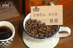 埃塞俄比亚安娜索拉桃乐茜白桃乌龙咖啡豆风味特点介绍