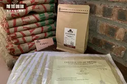 曼特宁咖啡名字缘由来源 黄金曼特宁咖啡豆产地风味特点手冲参数