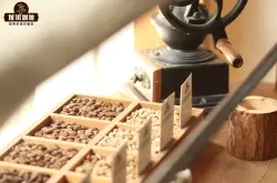 西达摩咖啡特点风味口感描述 花魁咖啡豆品种等级手冲方式介绍