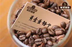 印尼曼特宁咖啡产地的品种来源特点 黄金曼特宁咖啡豆的冲泡口感风味描述