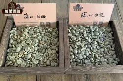 正宗蓝山一号咖啡豆品种产区特点介绍 蓝山咖啡手冲怎么冲煮好喝？
